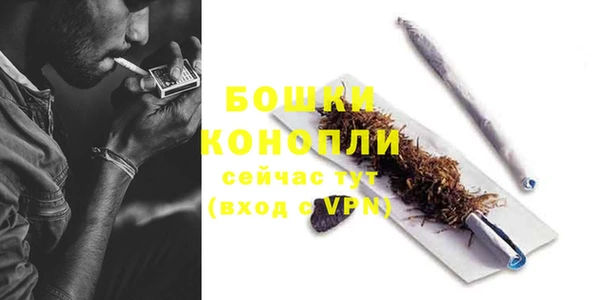 spice Волосово