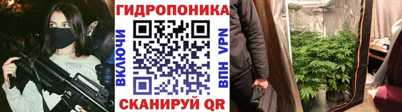 Марихуана OG Kush  Купить где  Буй 